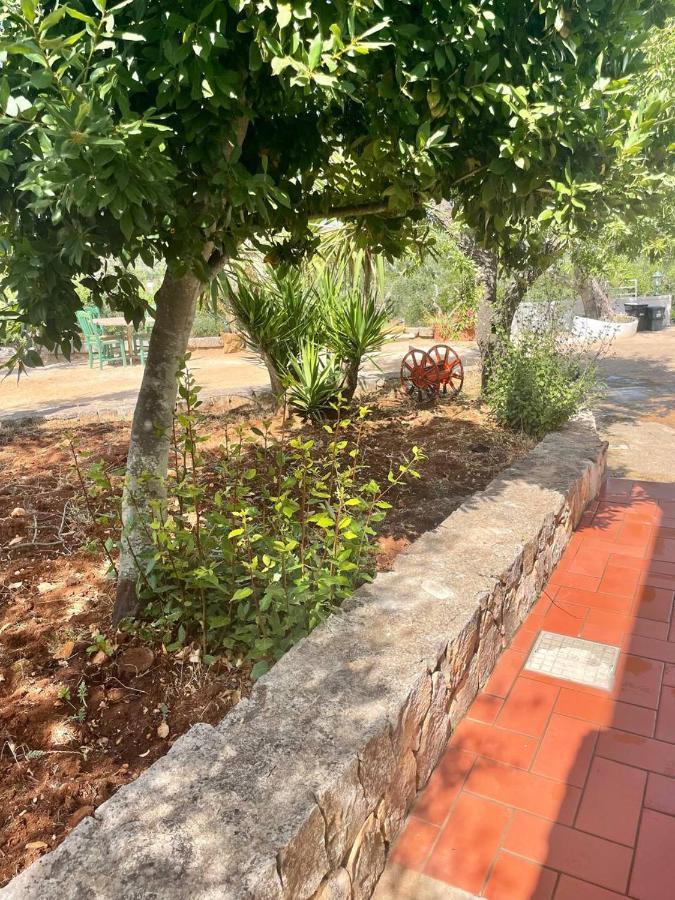 Residenza Fumarola Apartment ออสตูนี ภายนอก รูปภาพ